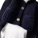 Spring New Coarse Needle Buckle Dress Short Knitted Coat 5802001 HZ1208